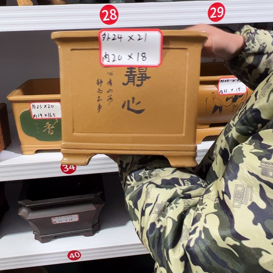 紫砂其他紫砂花盆