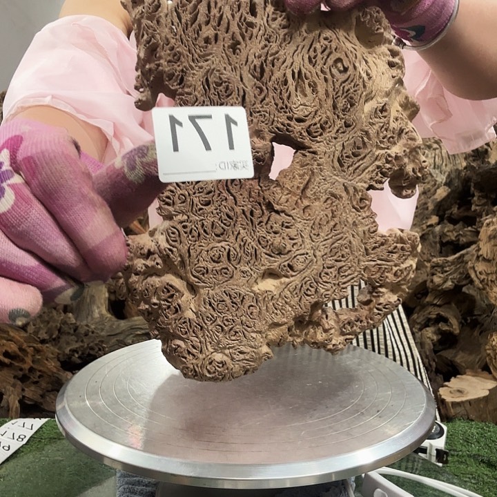 少**时紫砂的味道很好闻啊我的