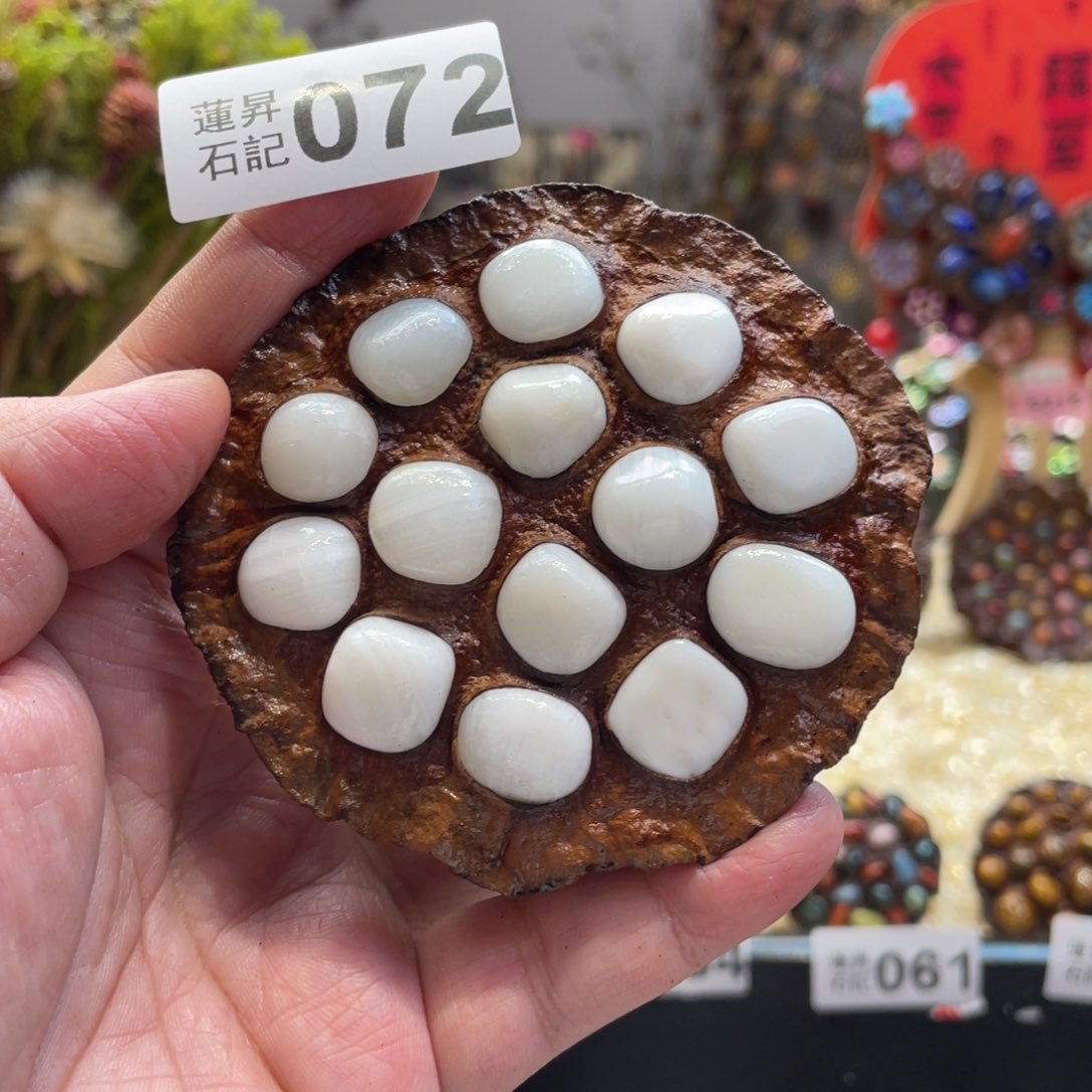 核桃木/黑胡桃（胡桃木）072