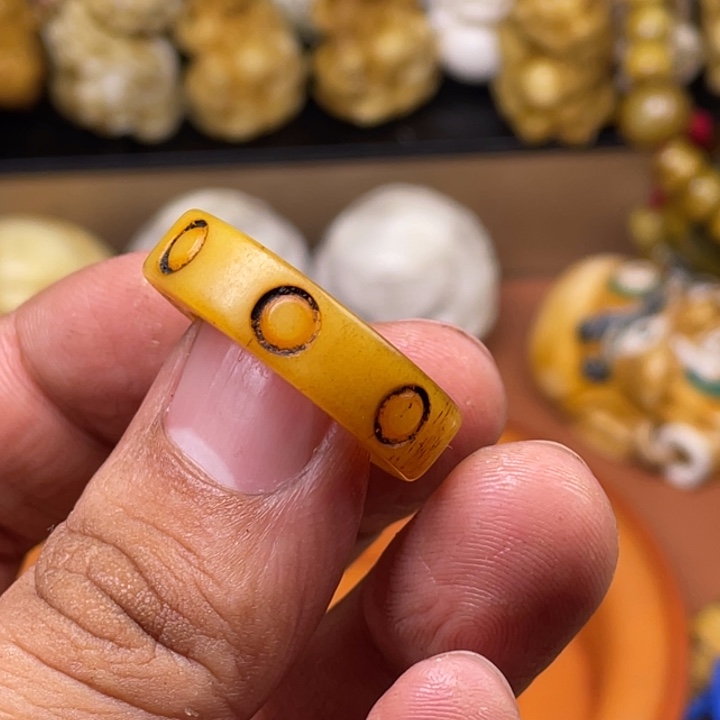 驼骨摆件人工养殖