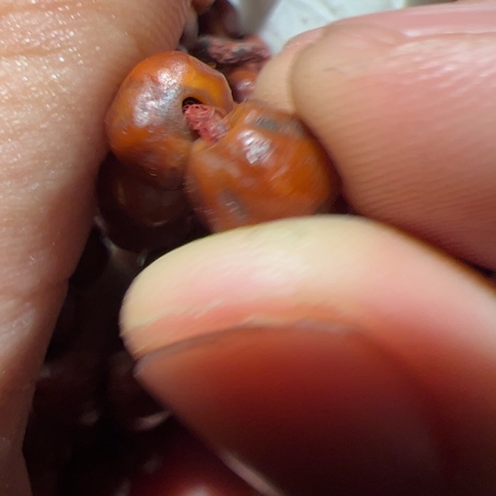 玻璃配饰你在一起的