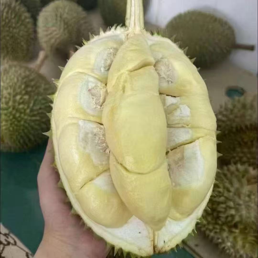 榴莲多多【顺丰包邮·一物一拍】新鲜越南猫山王带壳榴莲应季水果 