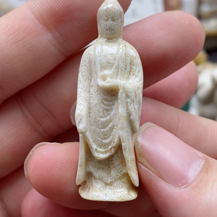 硅化珊瑚（珊瑚玉）颈饰未镶嵌