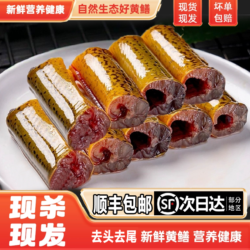 10 / 一份稻田土黄鳝