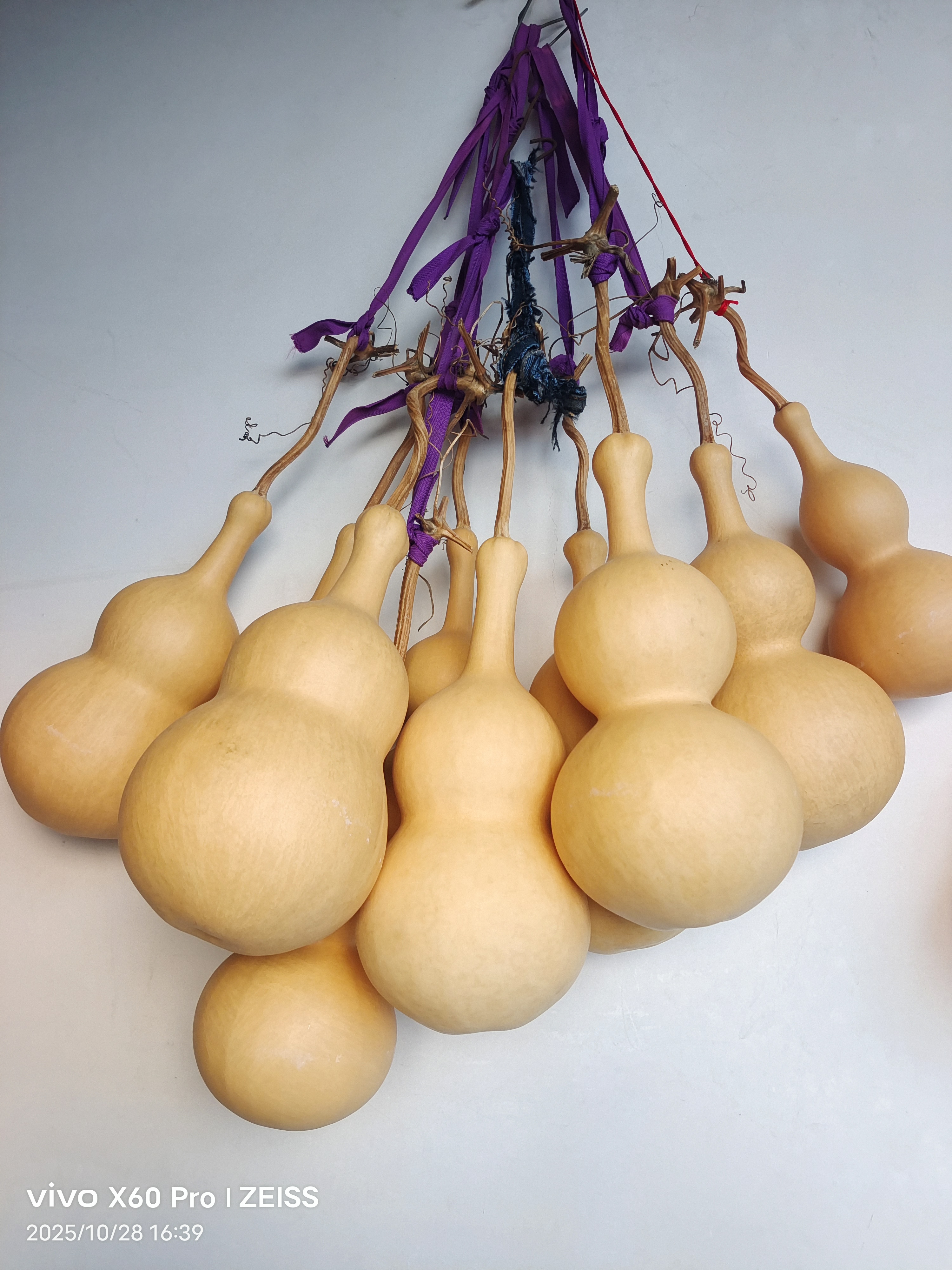 当年30公分中号八宝葫芦种子十粒