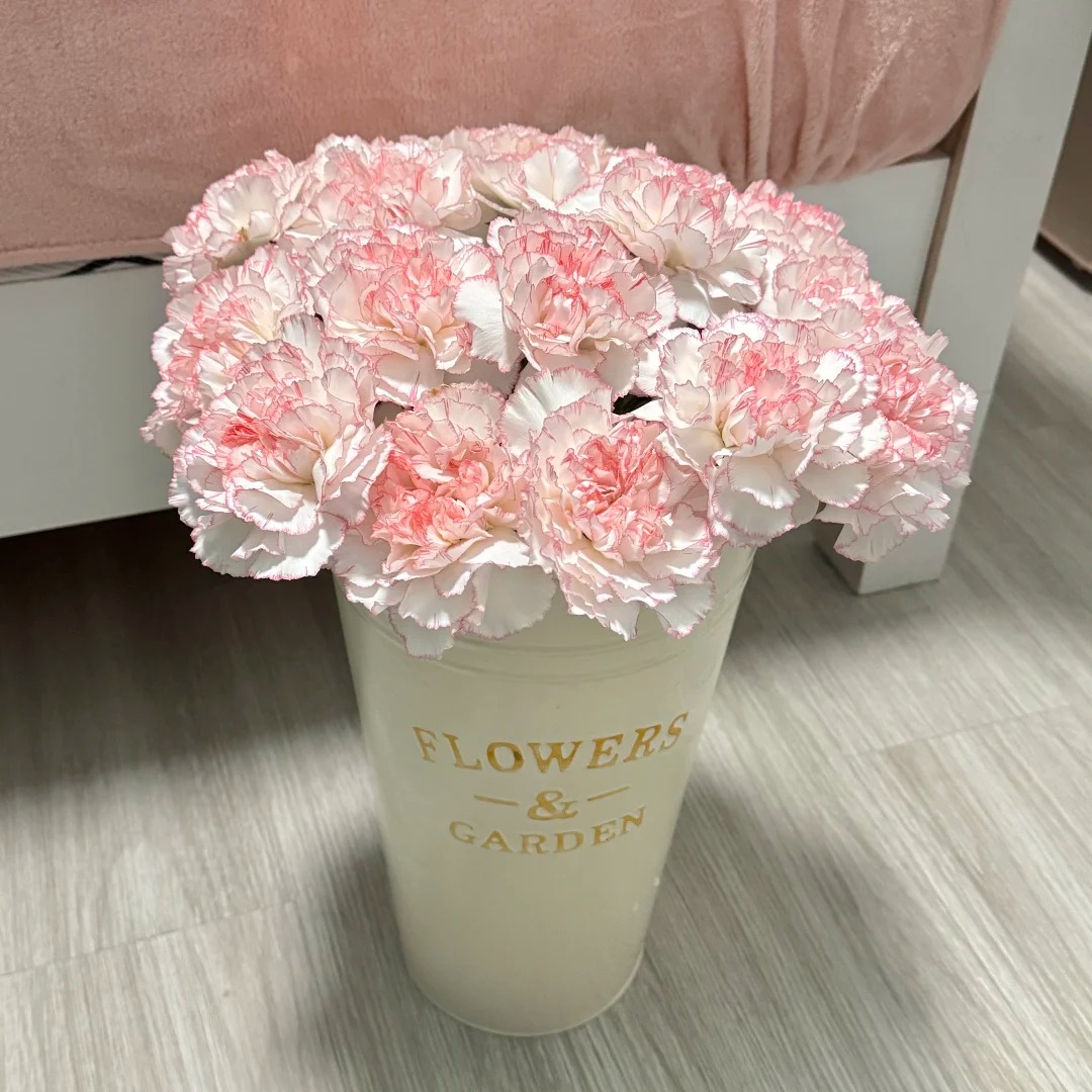 【静静甄选】小天使单头康云南昆明斗南鲜花基地直发家用优质鲜切花