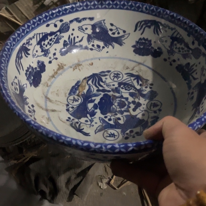 瓷其他青花大鱼盆一个微瑕