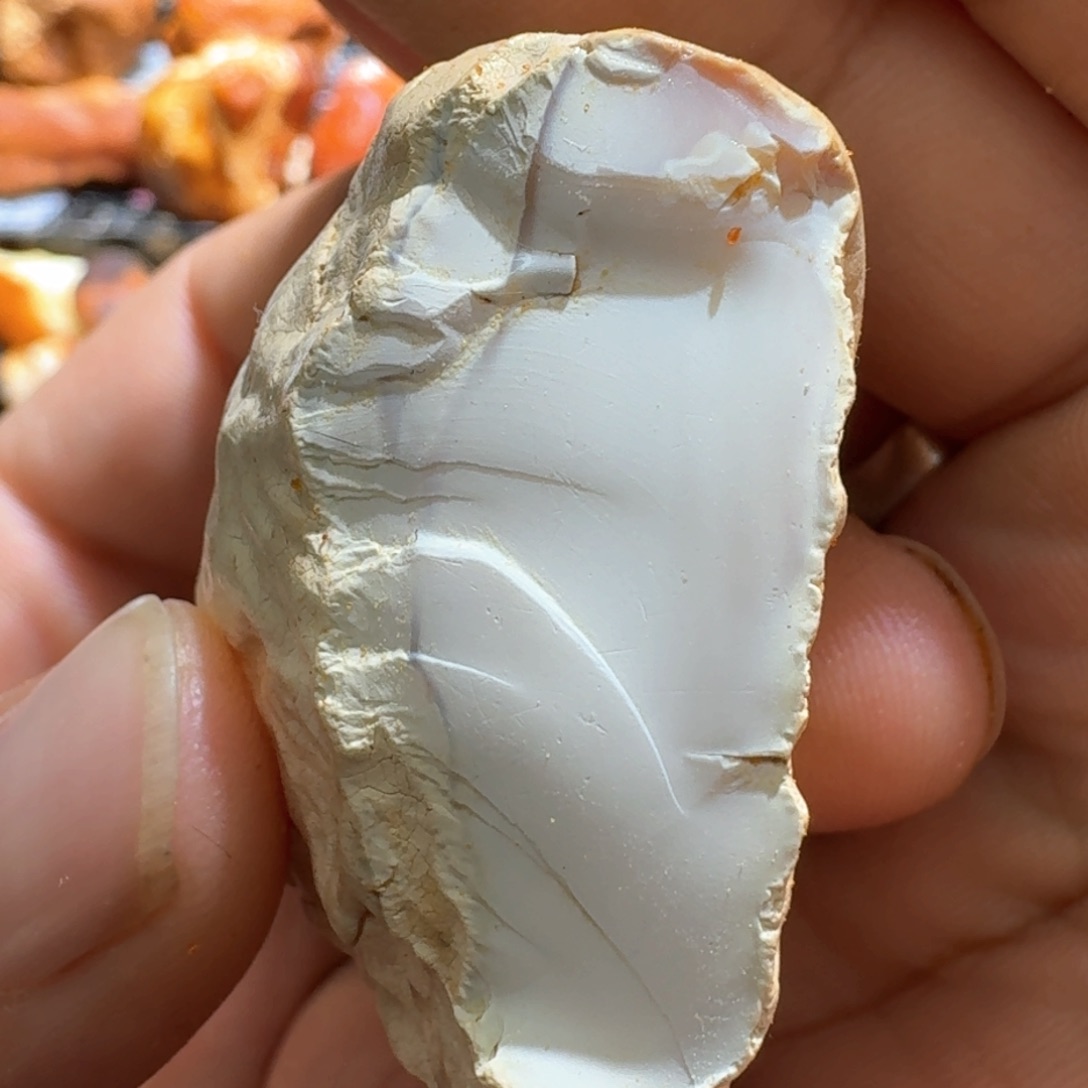 定制琥珀未镶嵌专拍