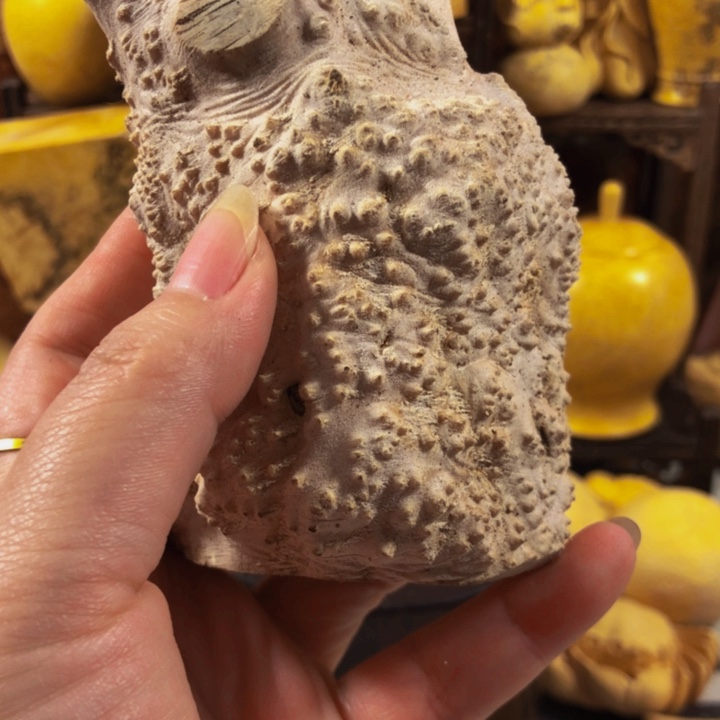 一***己木木料木料木料木料