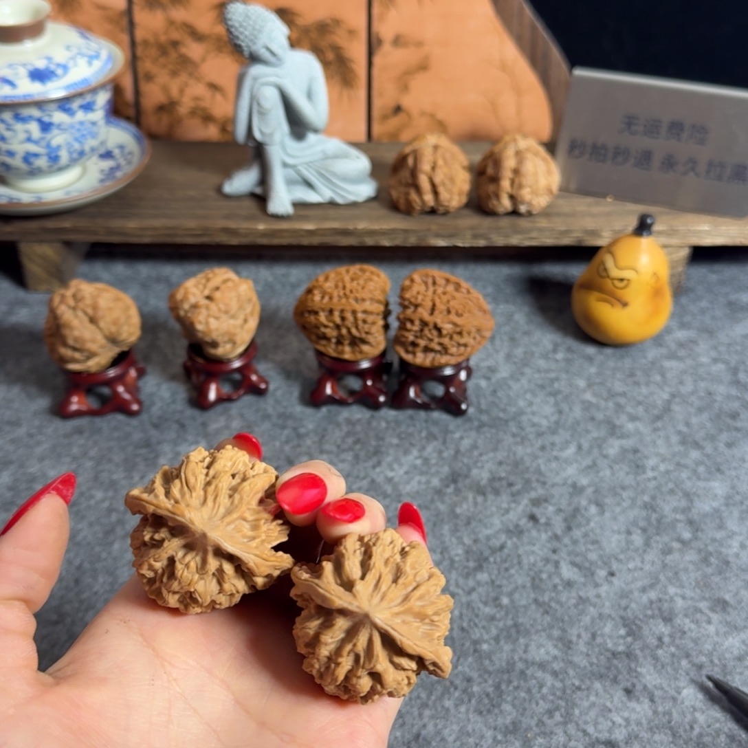 帝王狮子头45全品白茬克重51