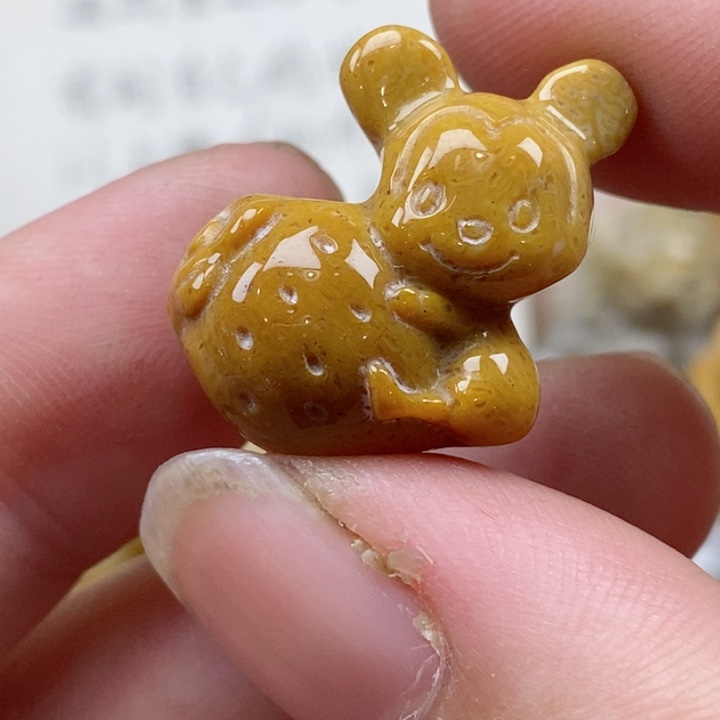 颈饰未镶嵌硅化珊瑚（珊瑚玉）小