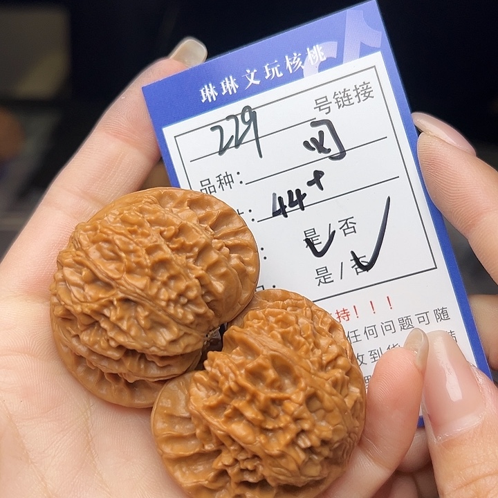 文玩核桃吊坠核桃树229