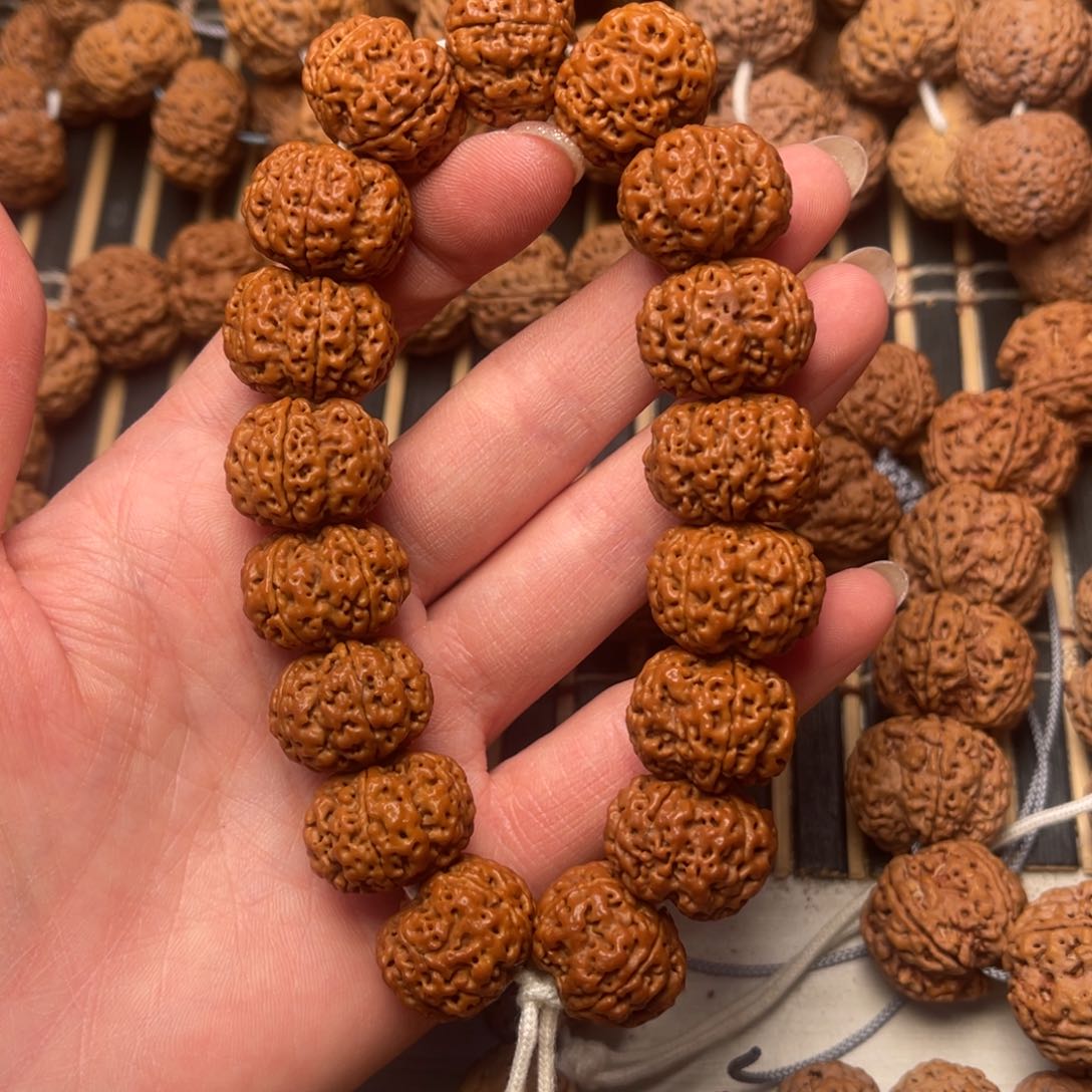 菩提尼泊尔大金刚满肉梁梅花20