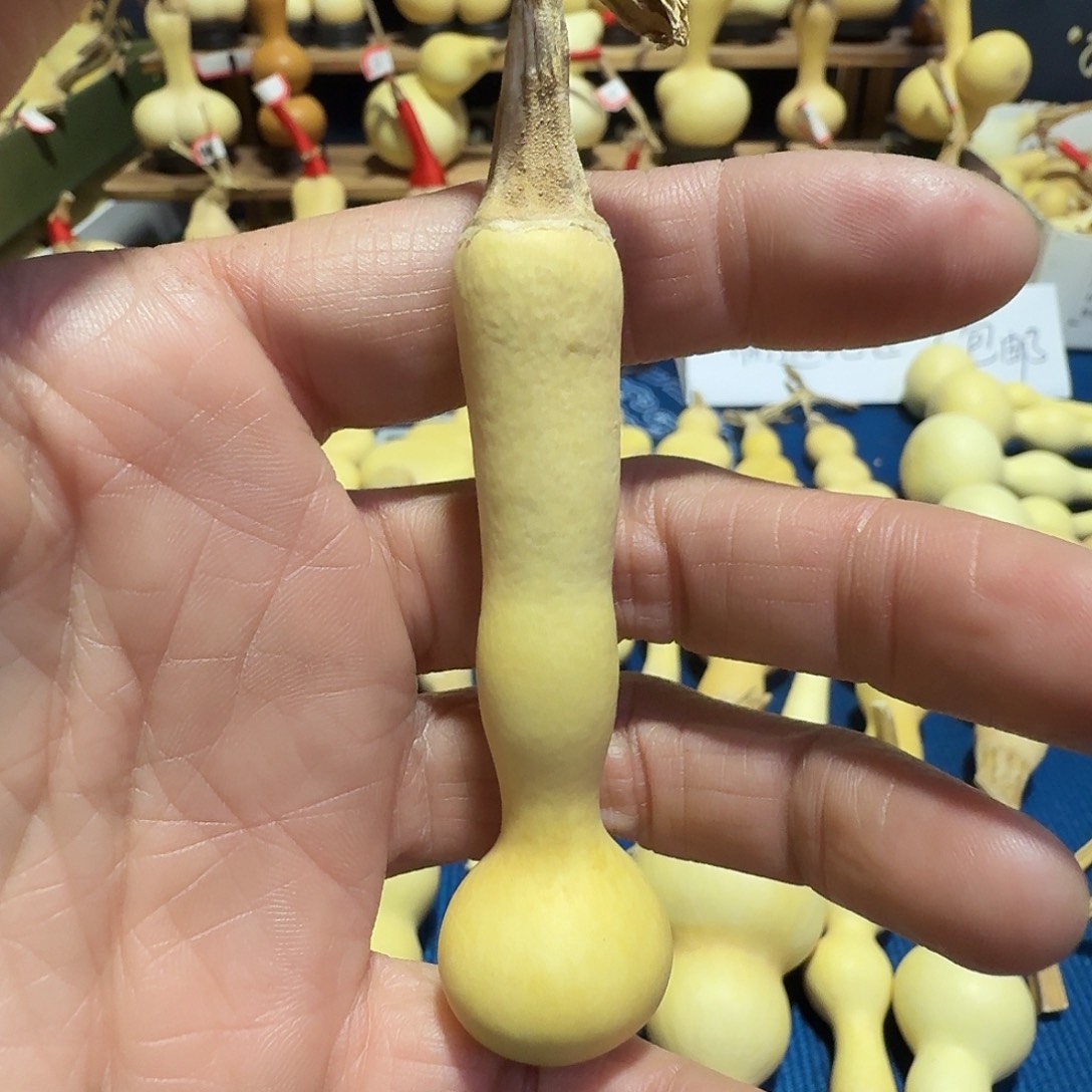 侠***行葫芦葫芦花在这里开出一
