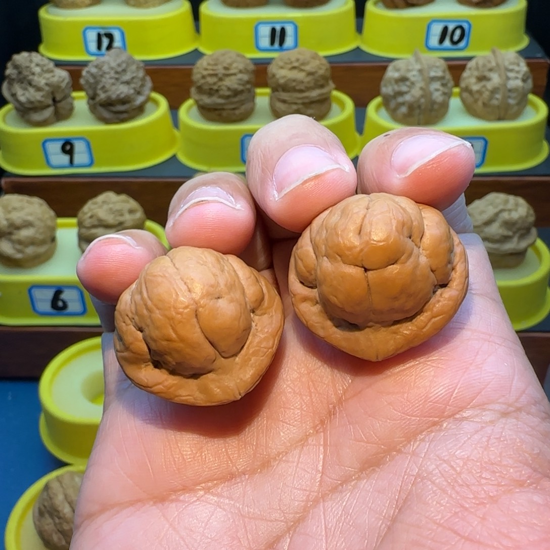 小***样把件桃核金刚鹦蟾