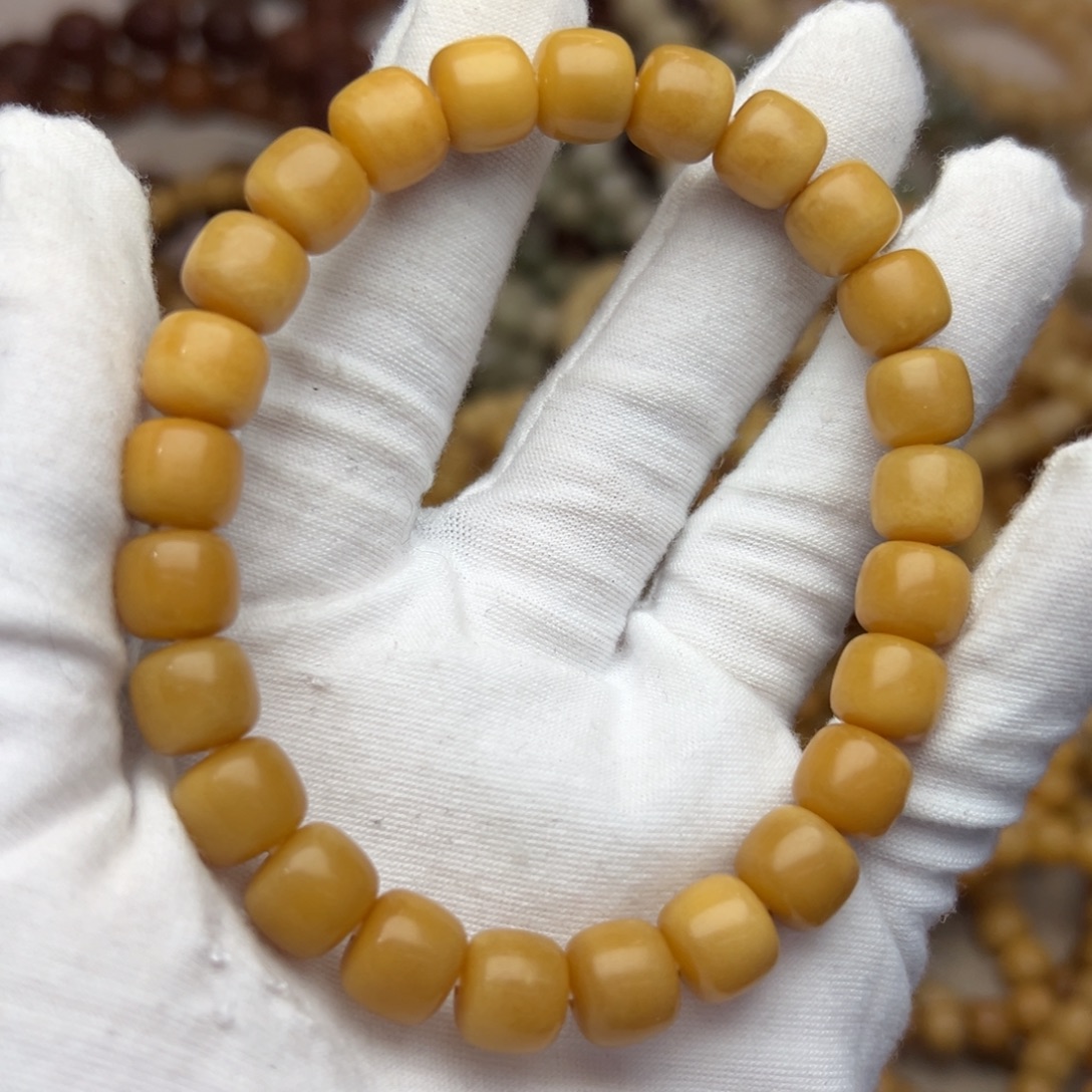 吊坠菩提根/象牙果10树王微瑕701