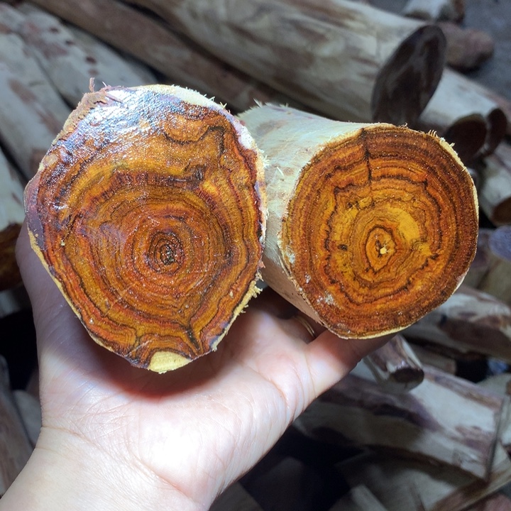 用***3花梨木类海南黄花梨