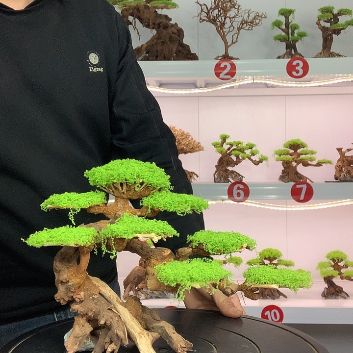 喝***热莫斯树43家哈哈哈哈