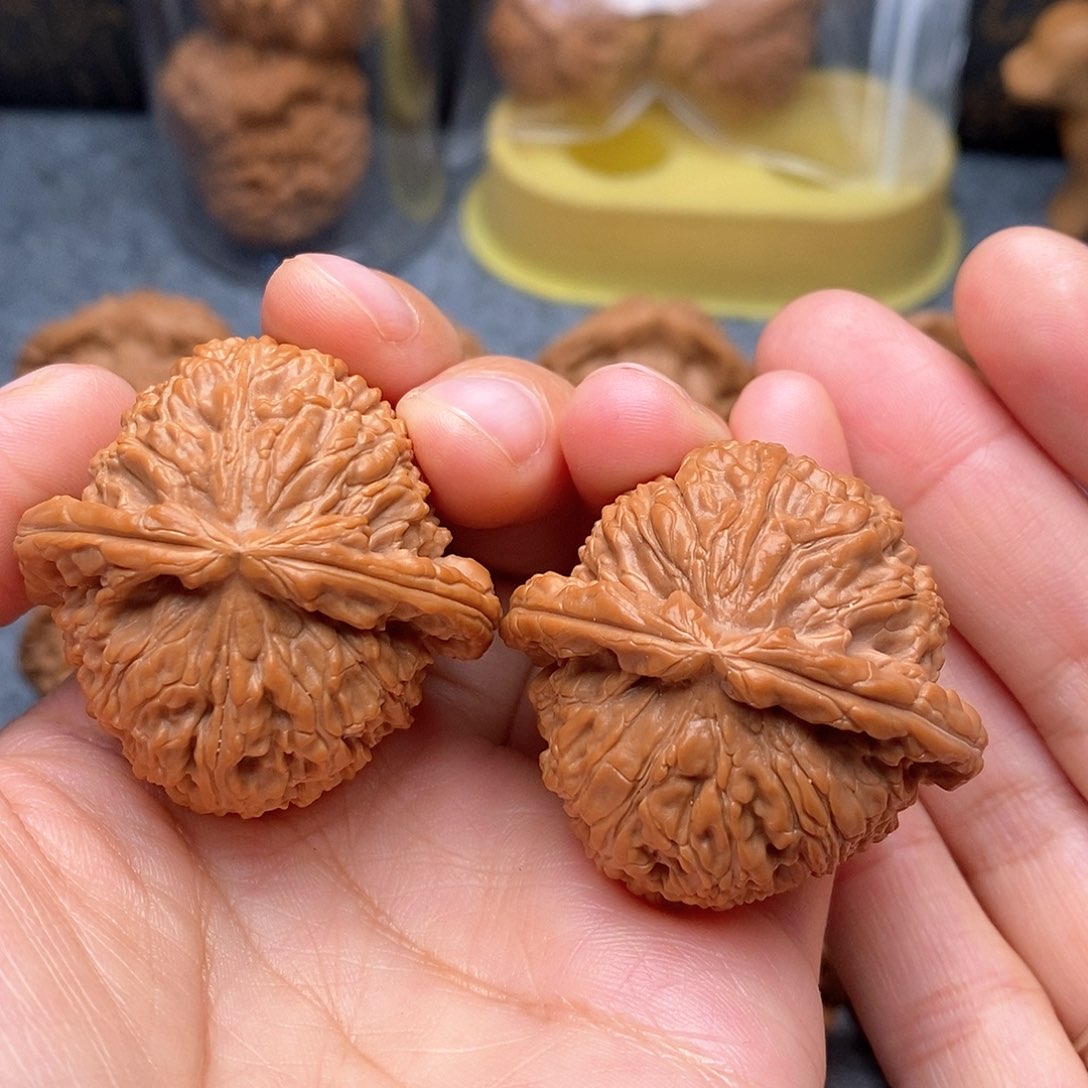 文玩核桃把件白狮子41尺全品