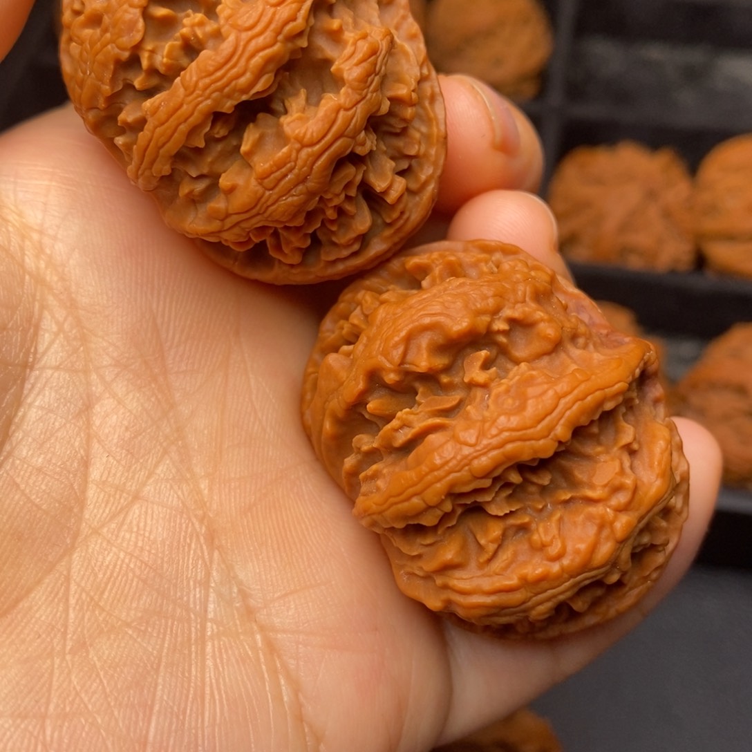 文玩核桃把件秦岭野生核桃