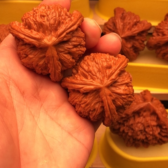与***善核桃核桃核桃核桃
