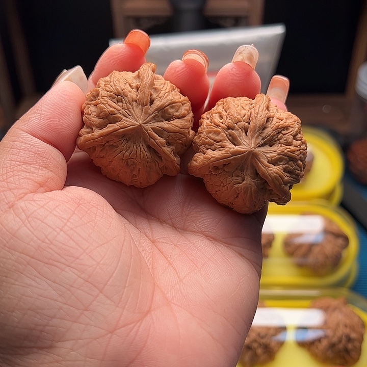 吊坠文玩核桃血麒麟三棱 全品