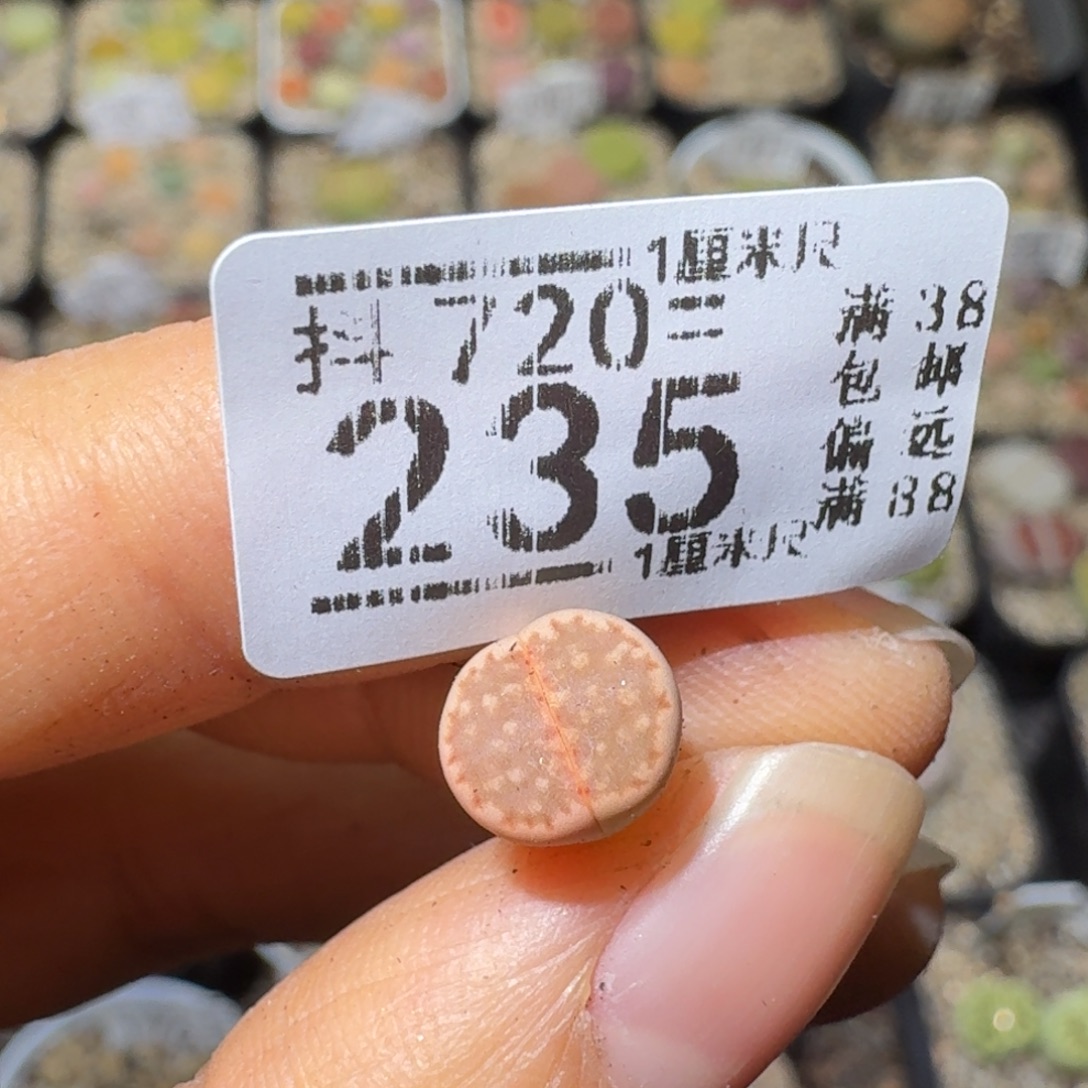 很***事Sss清仓便宜了235
