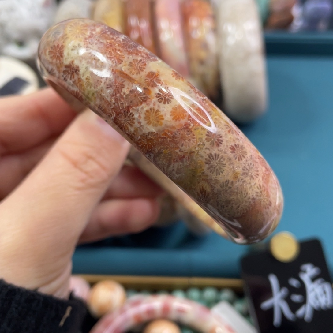 未镶嵌手镯硅化玉