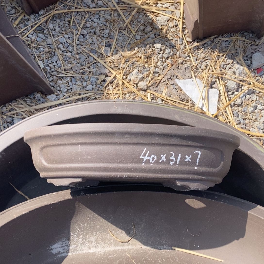 椭圆，40/31/7一只