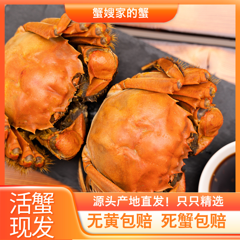 【活蟹】洪泽湖母蟹（㍚0-㍙7两）8只/10只顺丰礼盒包装