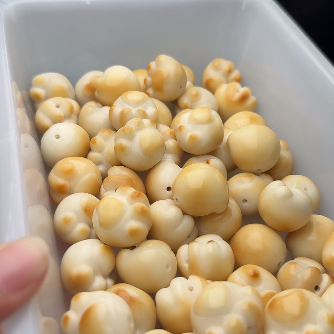 吊坠菩提根/象牙果3 颗象牙果炭烧猫爪 23