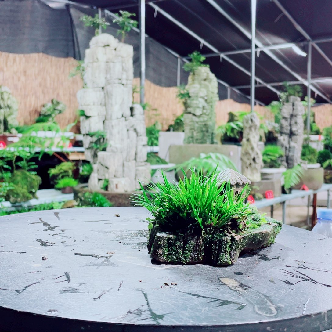 曹***爷无花朵你也别管别人说了什么了