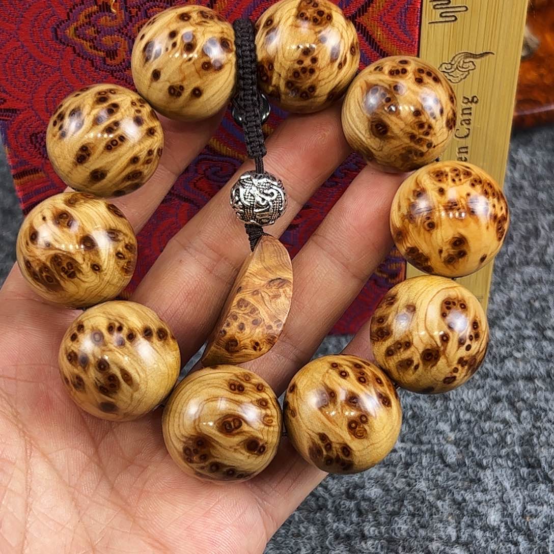 柏木2.5太行崖柏满瘤疤