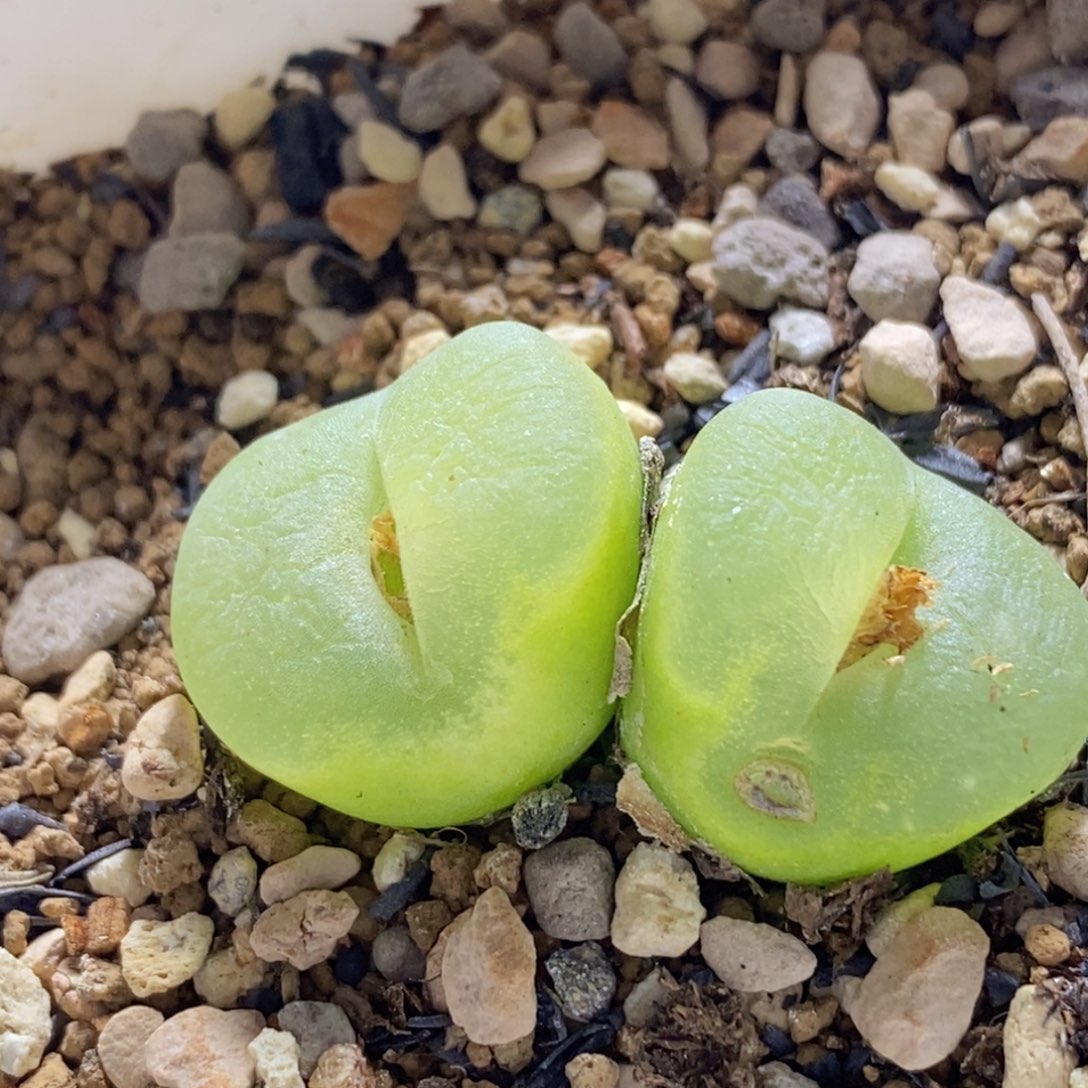 好看好看好看好看