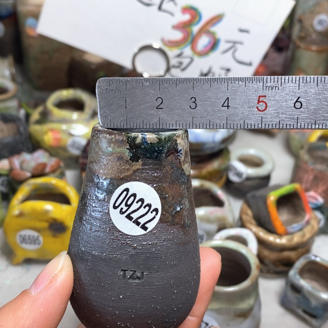 花盆拍5个送一个小礼物