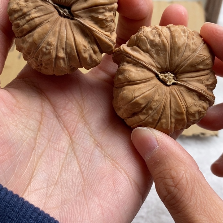 文玩核桃吊坠夜**珊南瓜墩