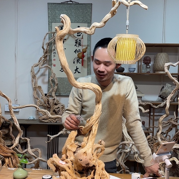 风****香榧木杜鹃花落谁家