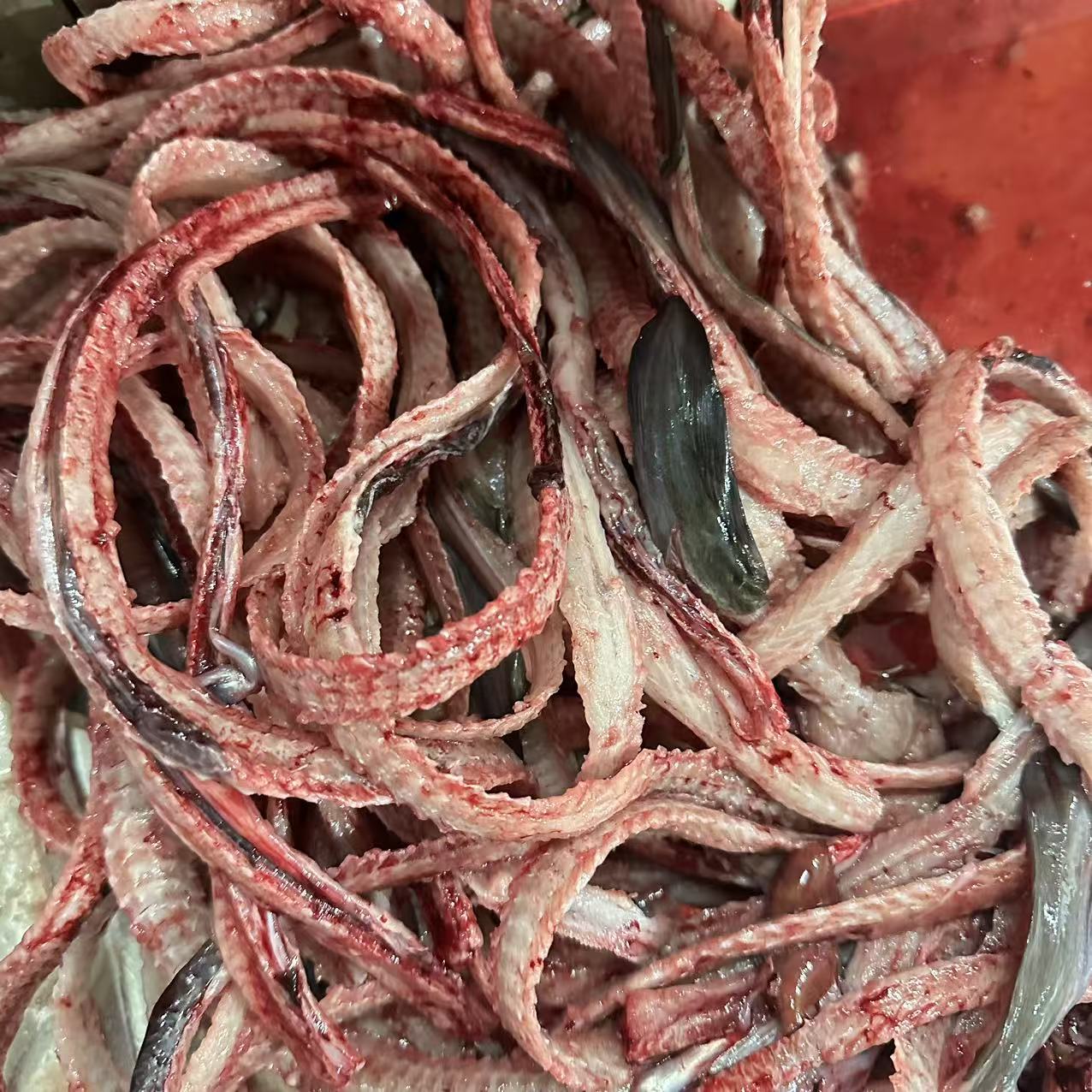 鳗鱼骨 乌耳鳗鱼骨头鱼骨 3斤顺丰包邮