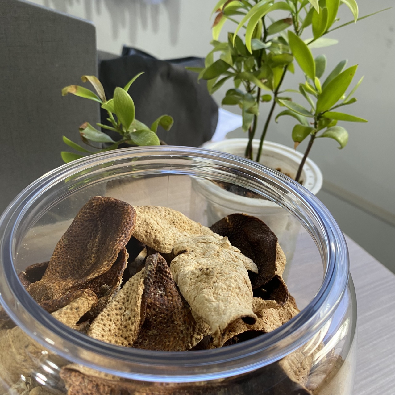 儒君2019天马断皮陈皮