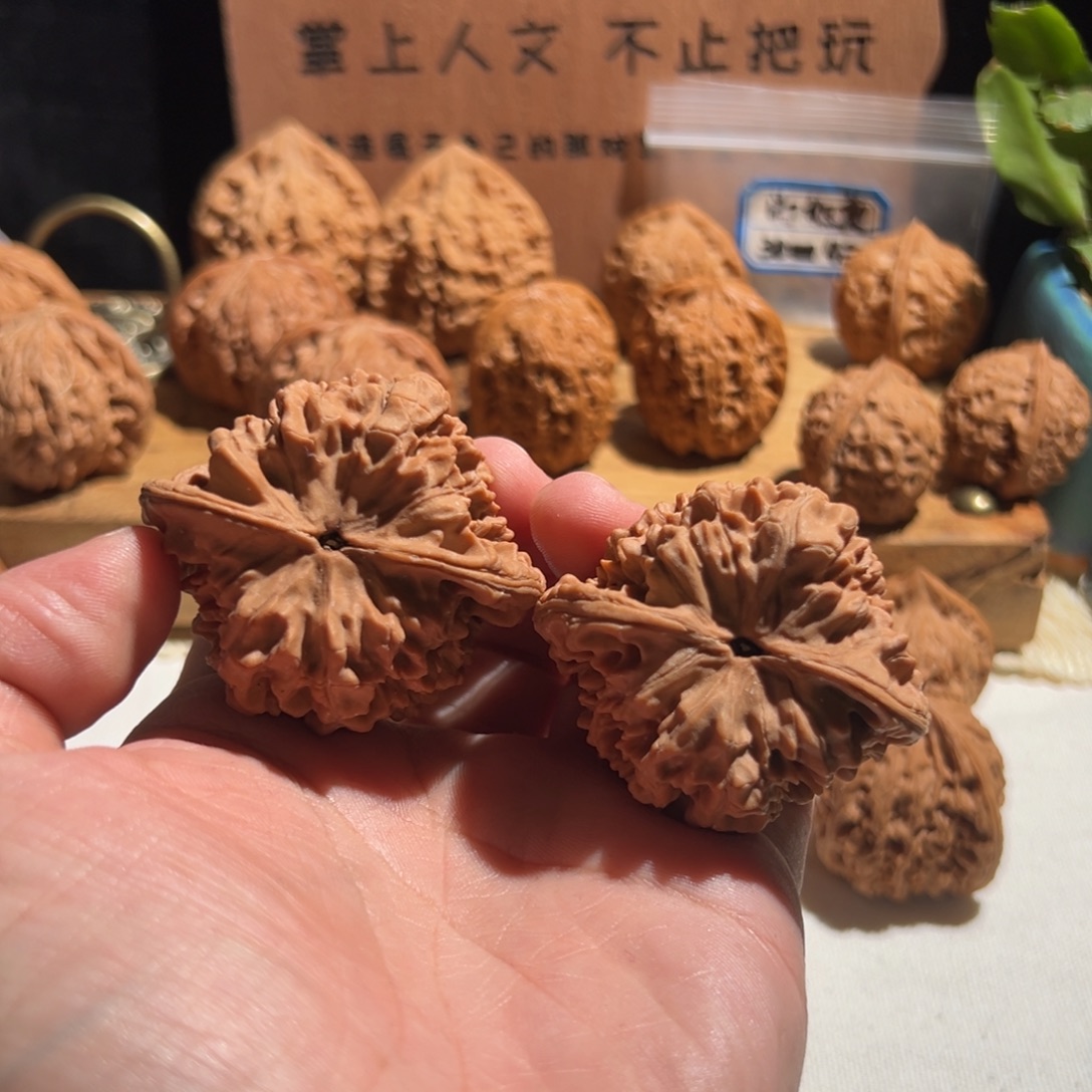 少***郎核桃全品无修 49 大官帽
