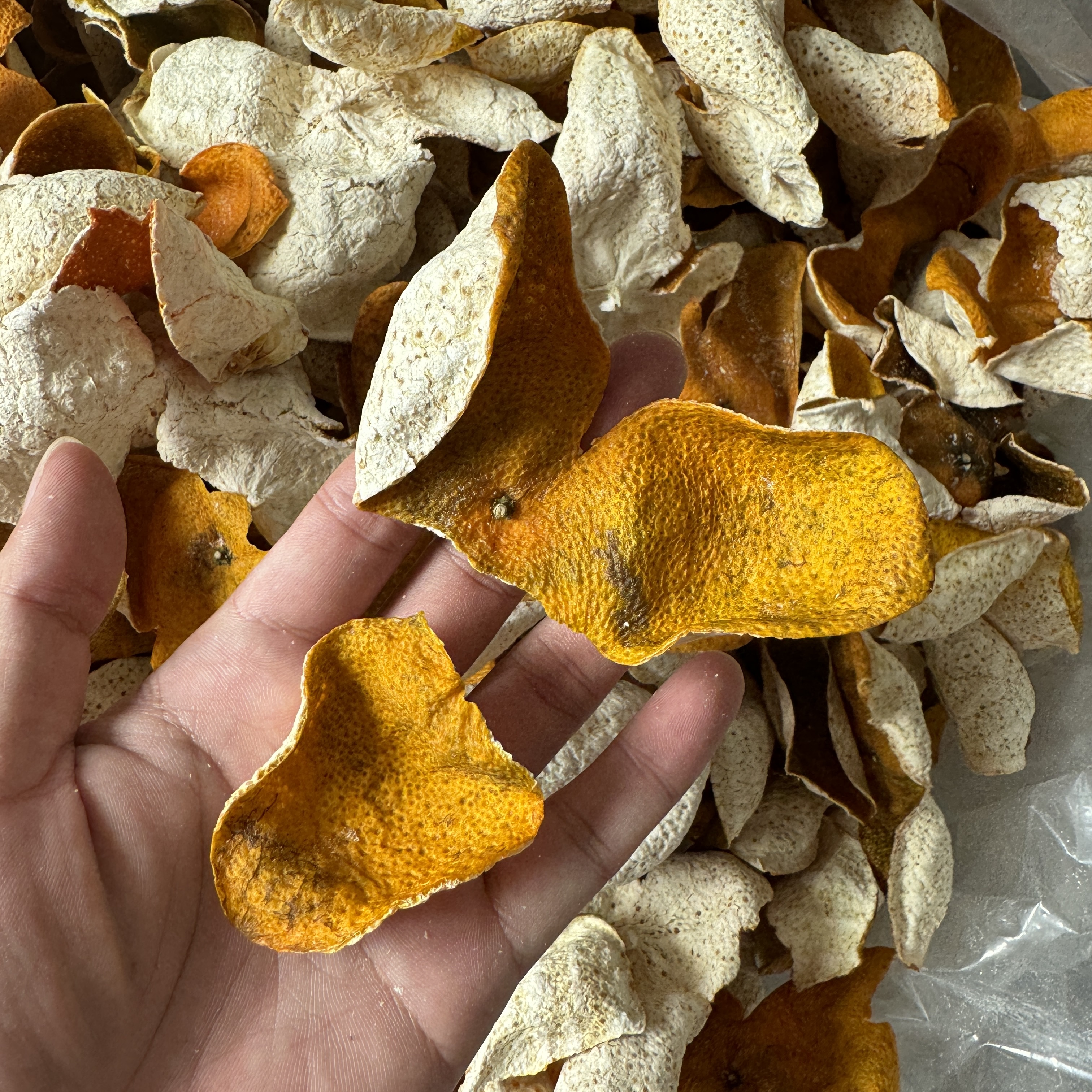 天马新皮代替链接2025