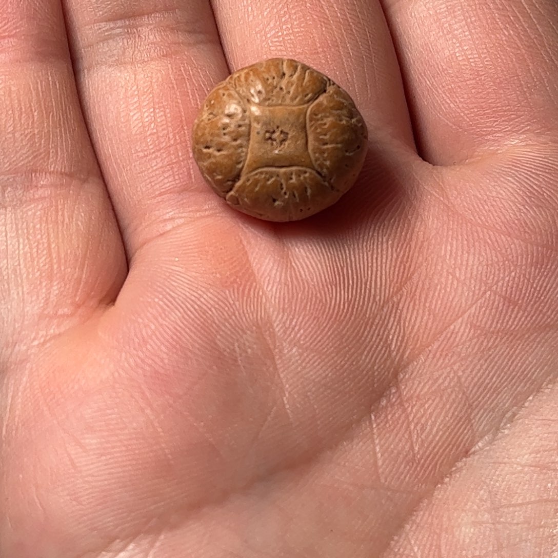 桃核吊坠18.6麒麟眼，开孔不退，偏远不包