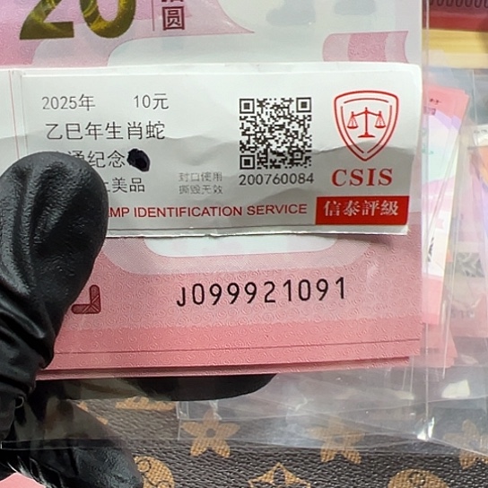 J099921091标十简易封装蛇