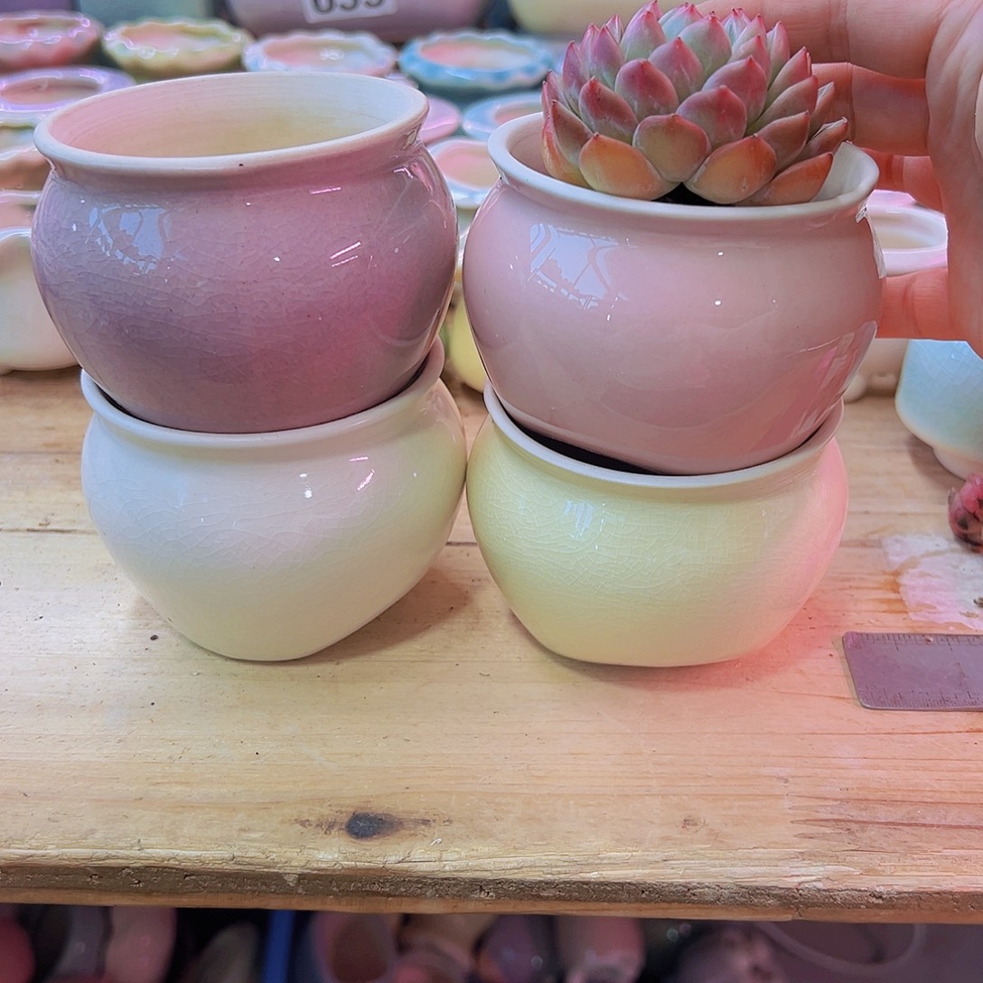 陶瓷花盆当场凑满12包邮