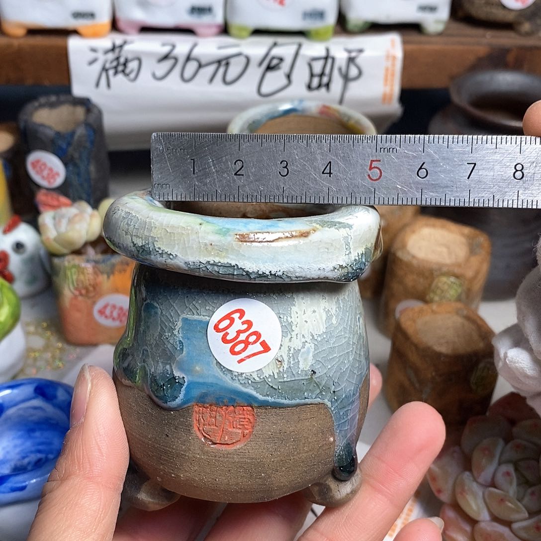 红陶拍5送一个小