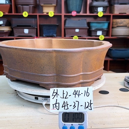 红陶笑*紫砂花盆里放上