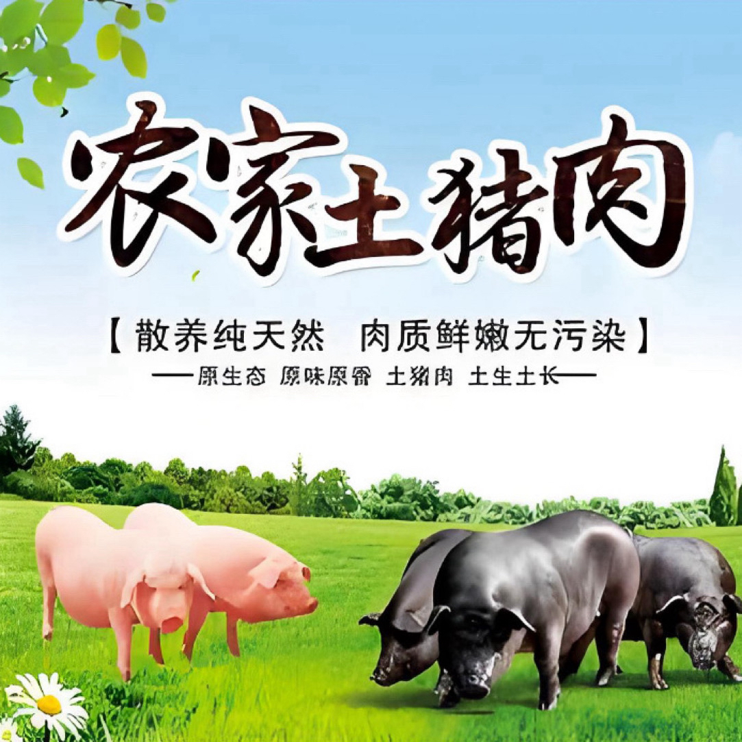 【顺丰速运】土猪肉农家喂养一年以上现杀现卖