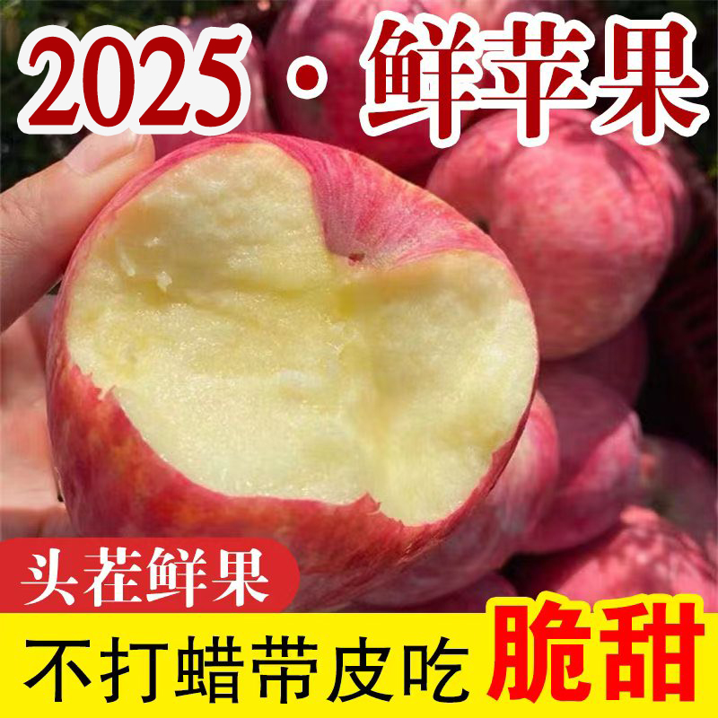 【脆甜多汁】新鲜红富士寒富士新鲜苹果坏果包赔 多仓发货
