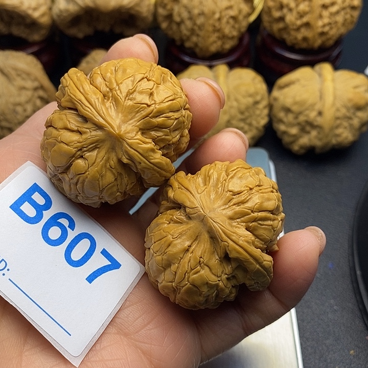 核桃甲骨文3.8，肚子4,2，有修