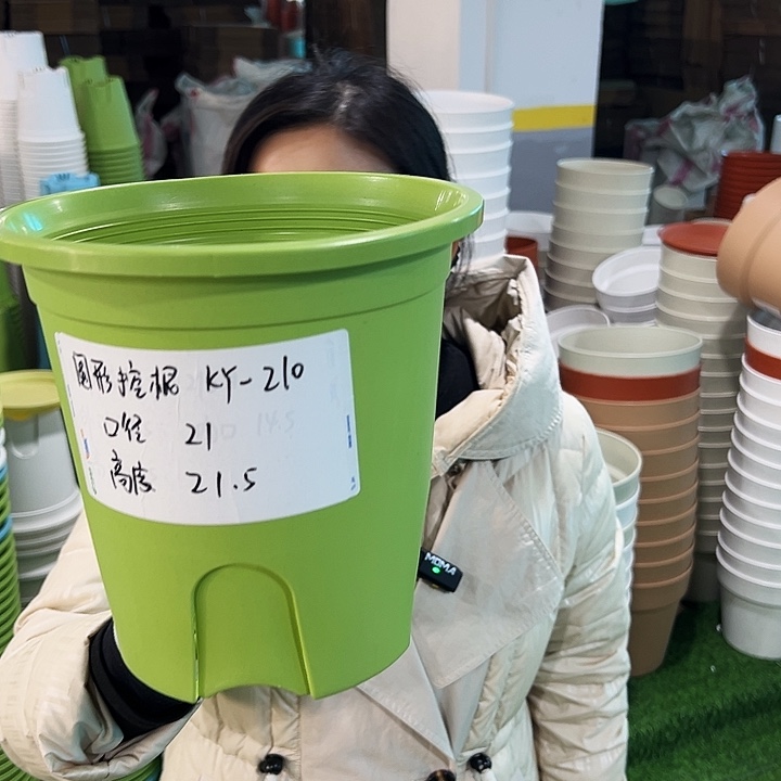 正品圆控口21高21果绿无托5只